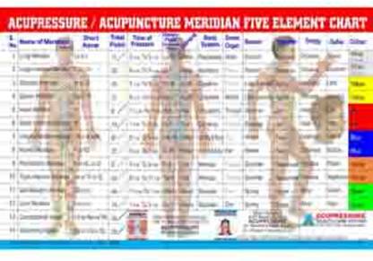Acupuncture Meridian Summary Chart Paper Print