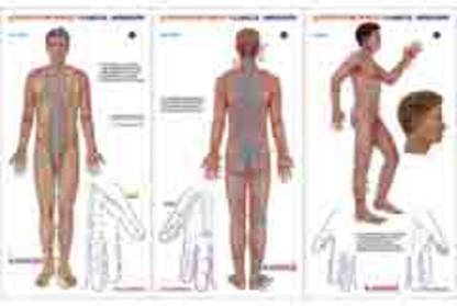 Acupuncture Points Chart - Meridians Set of 3 Paper Print