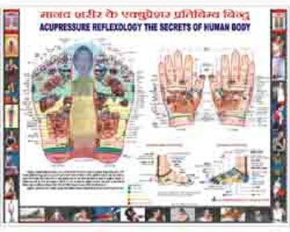 Reflexology Chart - Hindi Paper Print