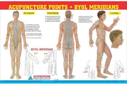 Acupuncture Point+Byol Meridian chart Paper Print