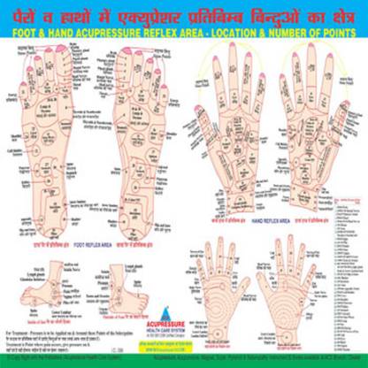 Reflex Area_Numbers Charts Acupressure Paper Print