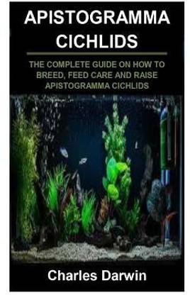Apistogramma Cichlids