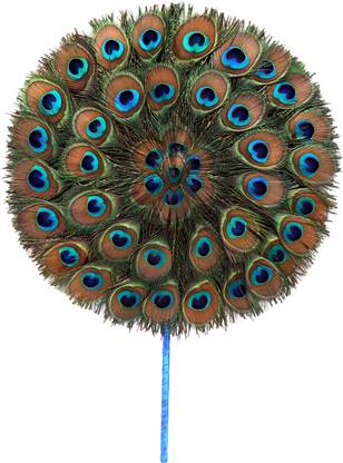 Peacock Feather Pack of 1 Decorative Feathers