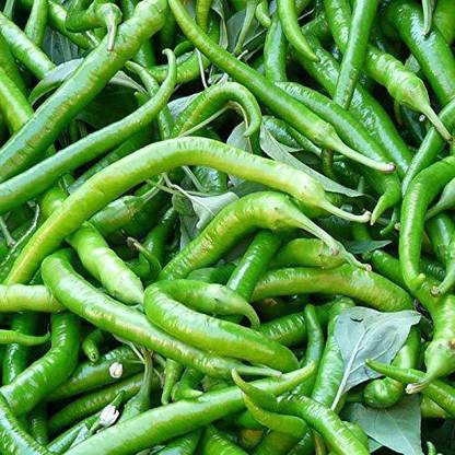 Fresco chilli seeds Seed