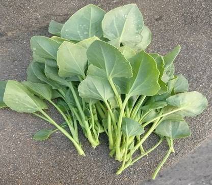 Paudha Chukka Kura/Sorrel Seed
