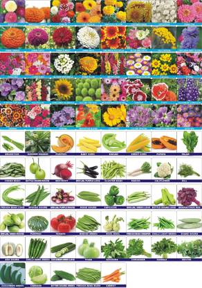 PRADHAM SEEDS 85 Variety of Vegetable and Flower Seed