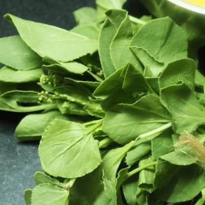 PLANTZON Chukka Kura/Sorrel Seed