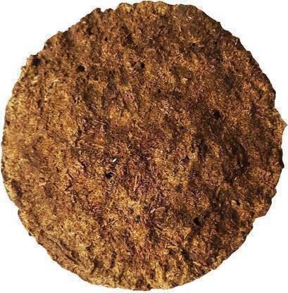 RUBYFINEART RUBY FINE ART COW DUNG CAKES (GOBAR UPLA)