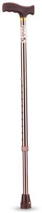 IWALK Imported Walking Stick