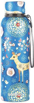 BOROSIL 700 ml Steel Flask