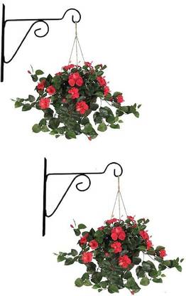 E C Creation Decent Wall Brackets Hook for Hanging Plants Wrought Iron Flower Pot-Set of 2 Plant Container Set