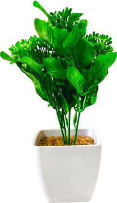 DECOPANDA Artificial Basil Plant for Decoration with Imported White Virgin Plastic Pot for Home, Office, Dinning Room & Balcony Decoration | Fire Retardant & UV Protected Artificial Plant  with Pot