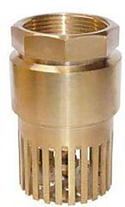 Hardware Foot Valve (Brass, 1-1/4") Ball Valves