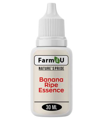 Farm4u Banana Flavour Baking Essence for Cake, Ice-Cream, Chocolates, Milkshakes,Indian Sweets And Beverages Banana Cream Liquid Food Essence