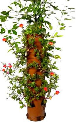 C Planter V28 PLGM Plant Container Set