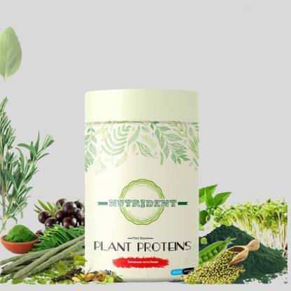 NUTRIDENTS Powerfood Plant Protein with Ayurvedic Herbs & Multivitamins 250gm Whey Protein