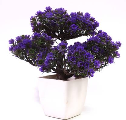 Dekorly Bonsai Wild Artificial Plant  with Pot