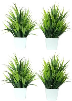 Dekorly 4 Artificial Grass Plant With Pot Bonsai Artificial Plant  with Pot