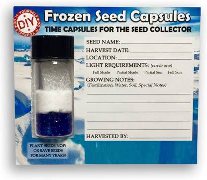 CYBEXIS Cress seeds-350 Seeds Seed