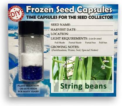 Qualtivate ® String Beans Frozen Seeds Time Capsule(100 Seeds) Seed