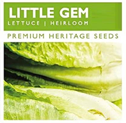 Qualtivate ™ Organic Little Gem Lettuce Seeds(375 Seeds) Seed