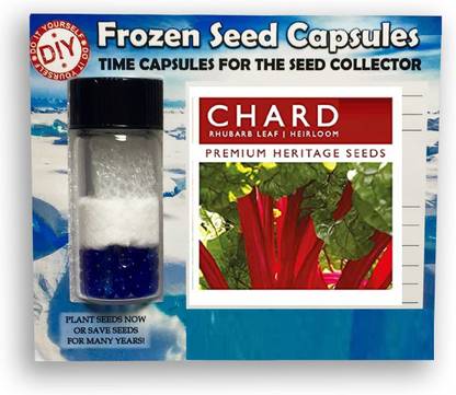 Qualtivate ® Chard Rhubarb Leaf Frozen Seeds Time Capsule(100 Seeds) Seed