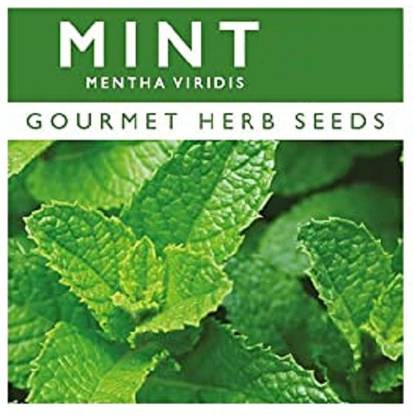 Qualtivate Mint Seeds Seed