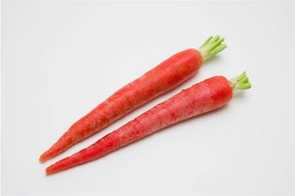 LYRS Home Garden Carrot Seed Seed