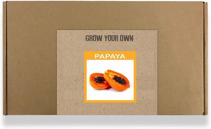 CYBEXIS Fast Germination Papaya Seeds-50 Seeds Seed