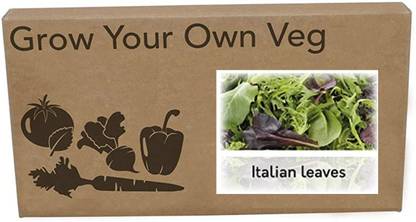 CYBEXIS Heirloom Italian said left mix Seeds1000 Seeds Seed