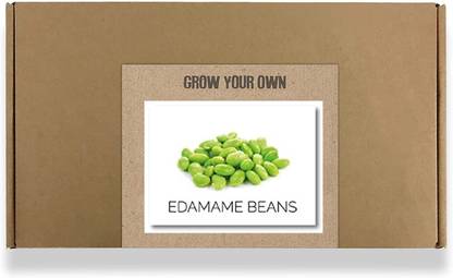 CYBEXIS Fast Germination Edamame Beans Seeds-100 Seeds Seed