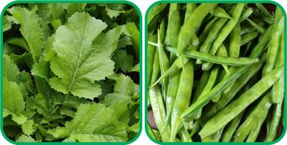 Agrey Cluster Beans ( 50 Seeds) And Mustard (200 Seeds) Vegetable Seeds Pack Seed