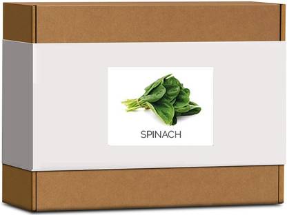 CYBEXIS High Germination Spinach Seeds2000 Seeds Seed
