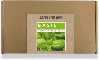 CYBEXIS Fast Germination Basil Seeds-500 Seeds Seed