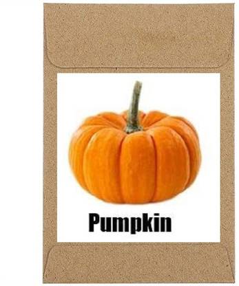 Qualtivate ® Guarenteed Germination Pumpkin Seeds(50 Seeds) Seed