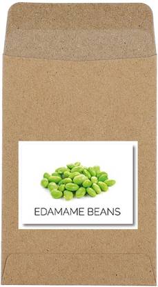 CYBEXIS Guarenteed Germination Edamame Beans Seeds400 Seeds Seed