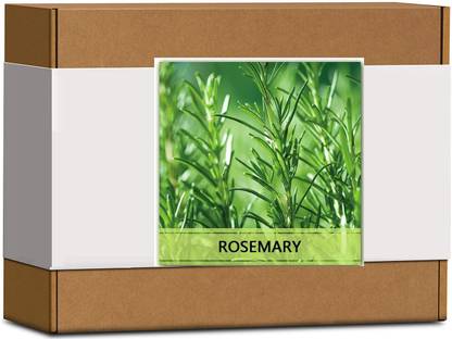 CYBEXIS High Germination Rosemary Seeds400 Seeds Seed