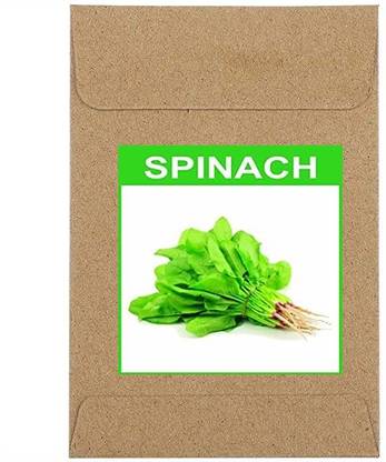 CYBEXIS Guarenteed Germination Spinach Seeds-500 Seeds Seed