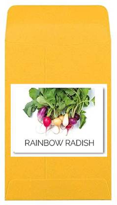CYBEXIS Heirloom Rainbow Radish Seeds-300 Seeds Seed