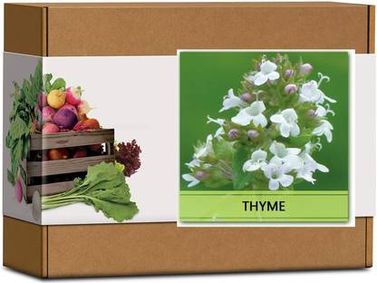 CYBEXIS High Germination Thyme Seeds400 Seeds Seed