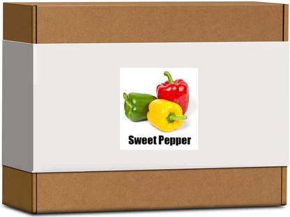 Qualtivate Capsicum Seed