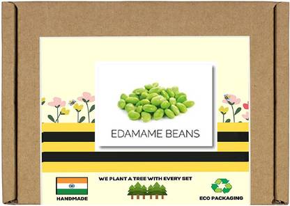 CYBEXIS F1 Hybrid Edamame Beans Seeds400 Seeds Seed