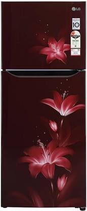 LG 242 L Frost Free Double Door 2 Star Refrigerator