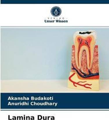 Lamina Dura