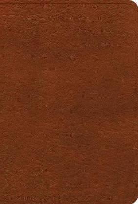 NASB Large Print Compact Reference Bible, Burnt Sienna