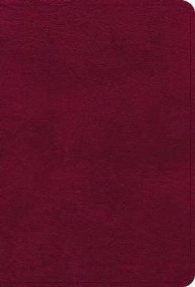 NASB Large Print Compact Reference Bible, Burgundy