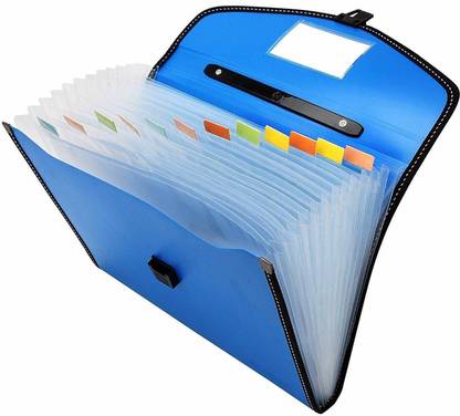 Villy Letter A4 Size File Organizer with Handle and 13 Pockets - Assorted Colour Expanding File Folder
