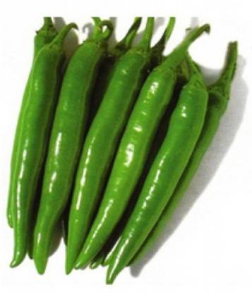 PRADHAM SEEDS CHILLI Seed