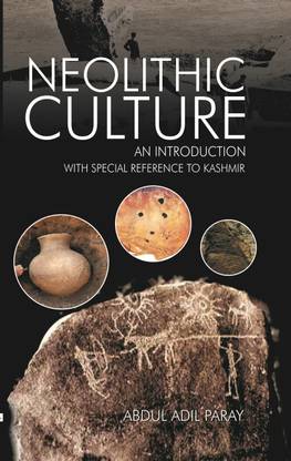 Neolithic Culture: An Introduction
