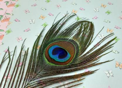 CRAFTWAFT Pack of 5 Decorative Feathers